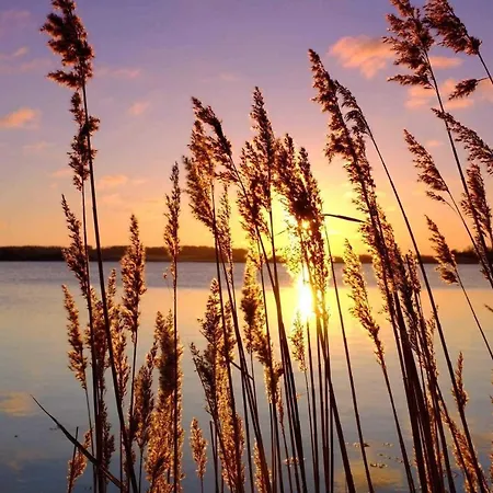 Trautes Heim Sued Apartman *