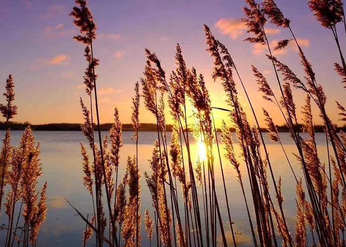 Trautes Heim Sued Appartement *